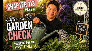CHAPTER 113 – PART II: Watering My Garden for the First Time 🌿💧 | What Grew?!