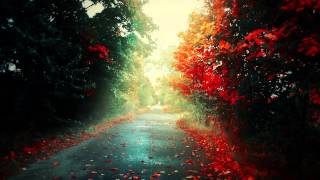 Future Islands - Walking Through That Door