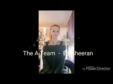 Ed Sheeran - The A Team   |  Cover by Tanja Kreutmayer