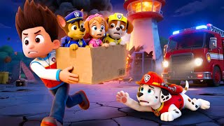 Download lagu ¡Ryder abandona a Marshall! ¿Por qué lo dejó atrás? | PAw PatRol en Español | Rainbow 3 mp3 Download lagu ¡Ryder abandona a Marshall! ¿Por qué lo dejó atrás? | PAw PatRol en Español | Rainbow 3 mp3