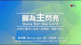 願為主閃亮