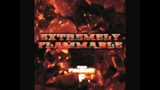 Swan Fyahbwoy - 02. Por si querias aprender - Extremely Flammable 2012