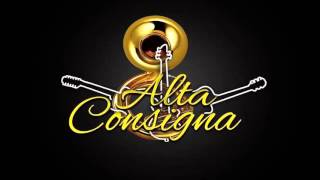 Alta Consigna -  El Semental 2016