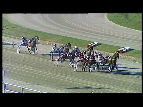 Napoli Trotto 31/12/2021 - 1ª corsa