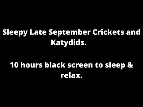 Sleepy September Crickets & Katydids, black screen to sleep & relax 10 hour cricket sounds at night