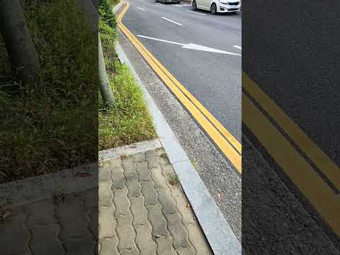오늘도 1공수 17만원 | 반도체 현장 퇴근 브이로그 #노가다브이로그 #평택반도체