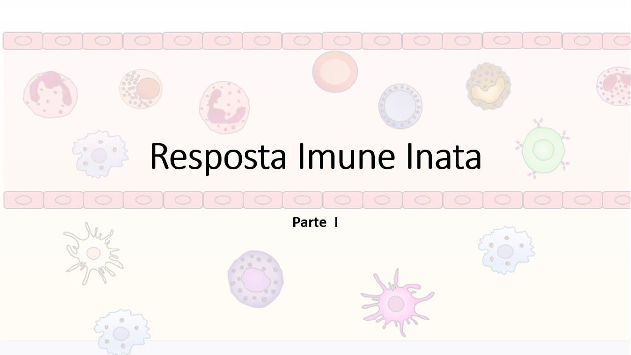 Resposta Imune Inata Parte I; Resposta Imune inata e adaptativa; PAMP DAMP; Lisozima