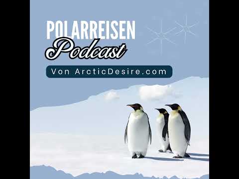 Traumreisen im Eis: Finden Sie Ihre perfekte Antarktis-Route