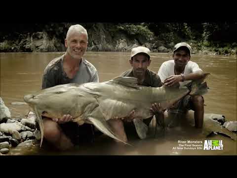 River monster Nepal episode