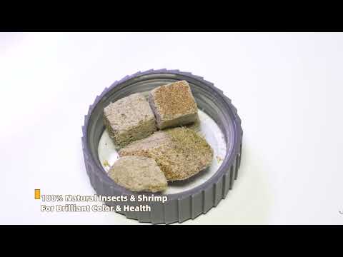 Yee Fish Food Capsules#fishfood 