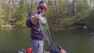 Crazy Fun Pre-Spawn Bass Fishing!!! (The Numbers Game)