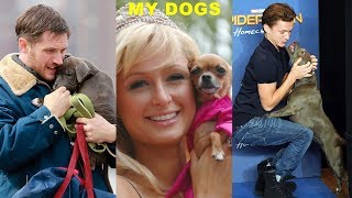 Top 15 Hollywood Stars With Their Dogs