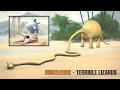 Animation Dinosaurs Terrible Lizards BeeAnimation