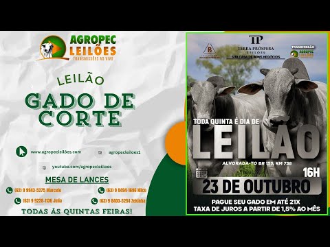 agropecleiloes.com LEILÃO GADO DE CORTE | TERRA PRÓSPERA LEILÕES-ALVORADA-TO 23/10/2025