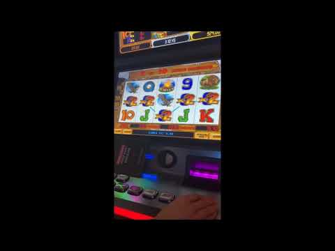 Hunter's Dream 2: Free Bonus Games - Big Win or Bust?