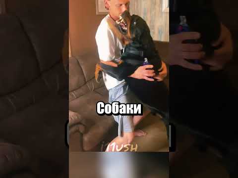 А она точно не кусается?