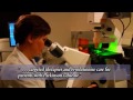 Parkinson's and Brain Research Foundation