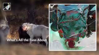 What’s All the Fuss About