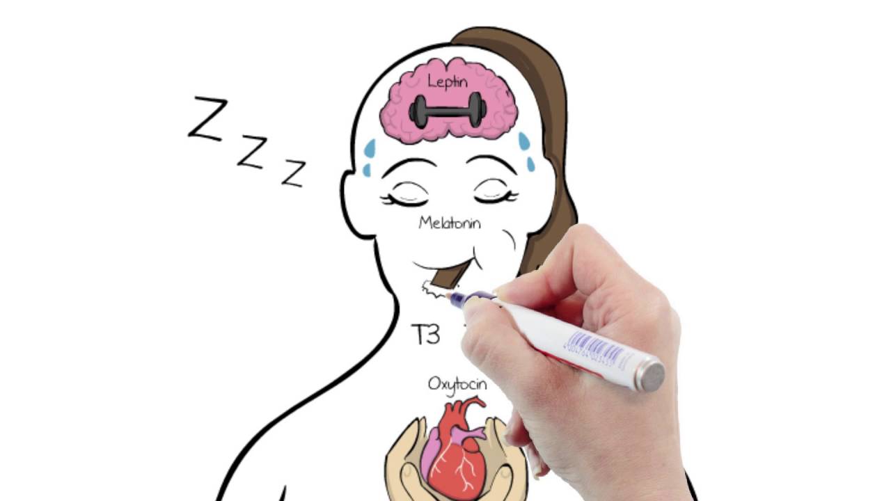 Essential Guide to Your Hormones