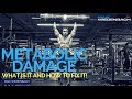 Metabolic Damage What Is It and How to Fix It!