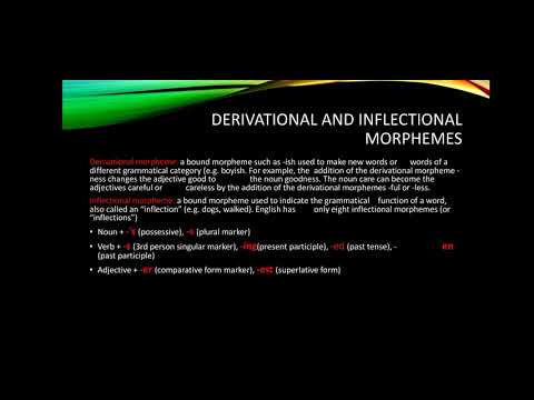 Chapter 6: Morphology