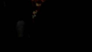 Bushes- Hot Chelle Rae