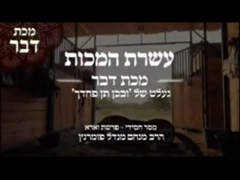 מסר חסידי - פרשת וארא תשפ"ב