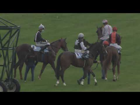 6. dostih - Podzimní cena Charvát Group - dostihy Most 10. 10. 2020