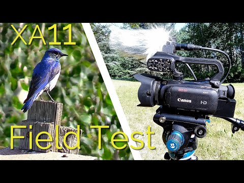 Canon XA11 (XA15) Field Test - Nature Scenes