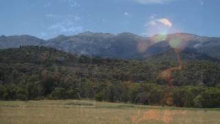 Bob Vidler - The Taste Of The Wind