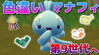 【リボンコンプ】色違いマナフィ、パルデア地方へ【ポケモンSV】