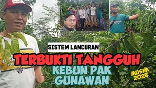 Download lagu PANTAS SAJA NAIK PODIUM ‼️ KEBUN PAK GUNAWAN, TERNYATA... mp3