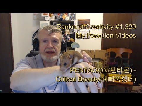 PENTAGON(펜타곤) - Critical Beauty(예뻐죽겠네) : Bankrupt Creativity #1,329 My Reaction Videos
