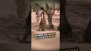 Bushman Uses Baboon to Discover Secret Water Source! (watch till the end) #shorts