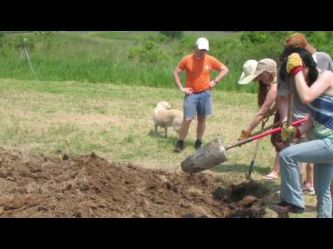 Polycultures Veggie Garden Guilds