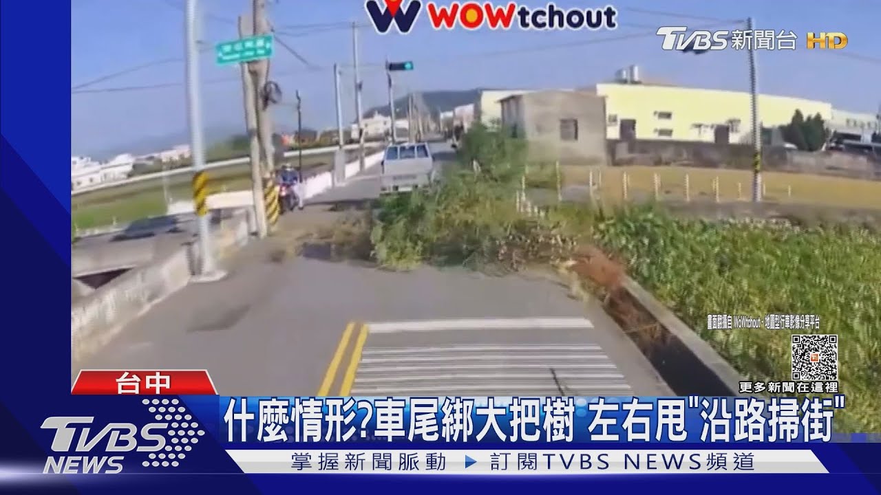 什麼情形?車尾綁大把樹 左右甩「沿路掃街」