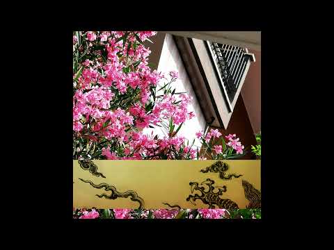 Nakani - Nobody Knows My Name