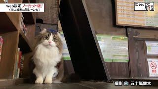 Vol.107「にゃん旅鉄道」駅舎を見学するにゃ！