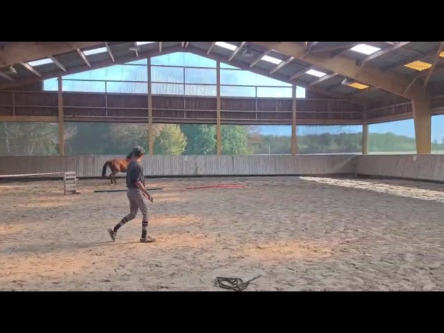 Poulini&egrave;re 12 ans 