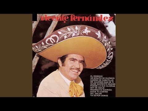 Un Minuto De Silencio - Vicente Fernandez