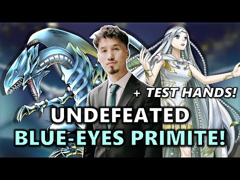 First Place Undefeated Locals Blue-Eyes Primite Deck Profile Ft. Zamir aka @Truekingzofgames!