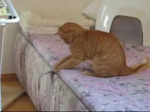 Ve dvou se to lépe táhne!