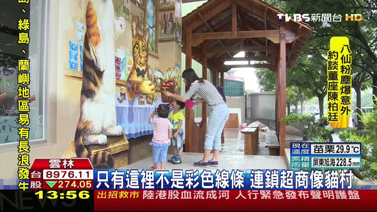 只有這裡不是彩色線條 連鎖超商像貓村