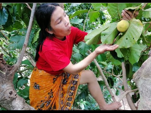 Girl Meet Fruit santol for food eating delicious