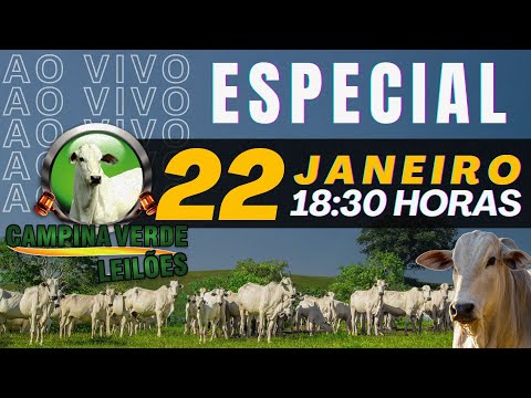 Campina Verde Leilões ESPECIAL - 22 de Janeiro 2026