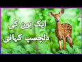 Molana Tariq Jameel Ek Hiraan Ki Kahani Interesting Story Of A Deer ایک ہرن کی دلچسپ ک