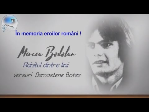 Mircea Bodolan - Rănitul dintre linii