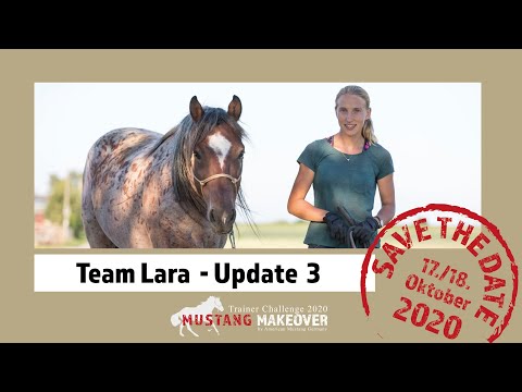MUSTANG MAKEOVER 2020 - Team Lara (TAG 5172) - Update 3