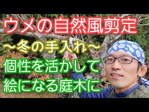 冬に剪定する植物はどれ？ 1月と2月に剪定を好む種  庭園