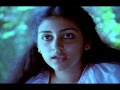 Nostalgic BGM | Thoovanathumbikal